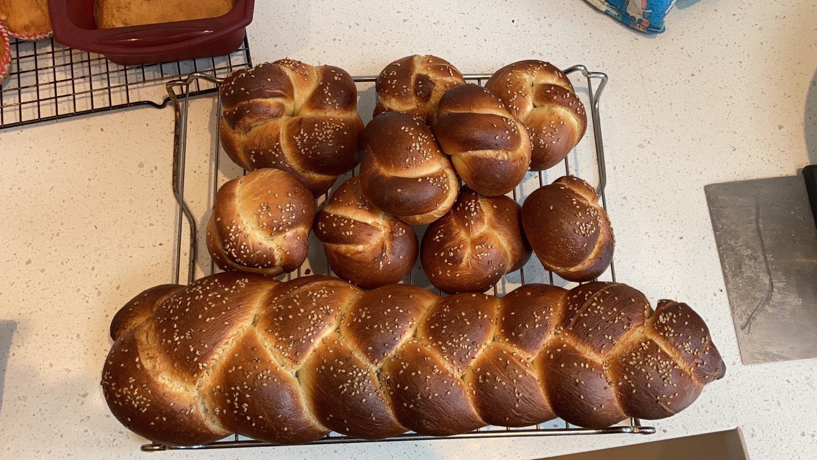 Challah and buns made from the same dough.