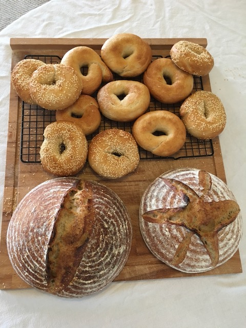 A feast of bagels and wheat sourdough loaves